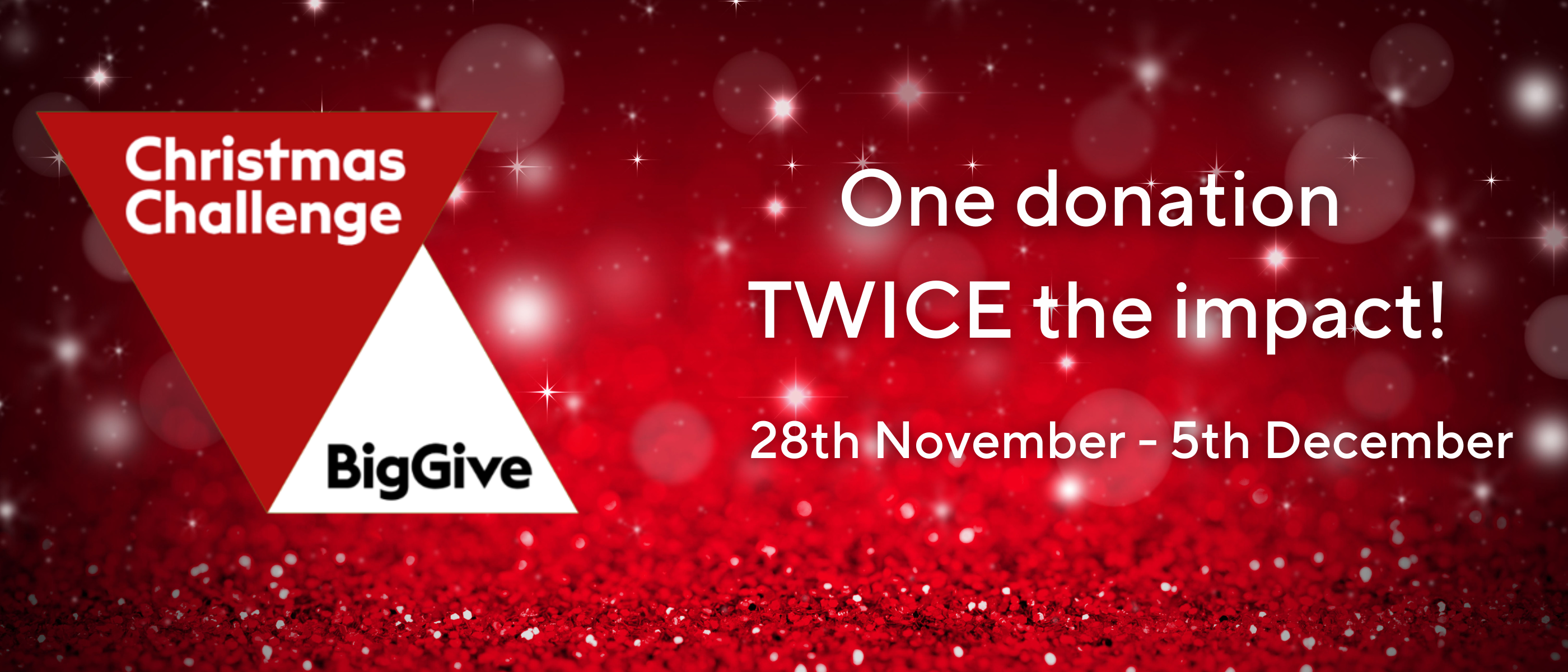 The Big Give Banner